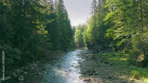 River forest mountain sunbeams morningh sunny rays water slow motion tree pine photo