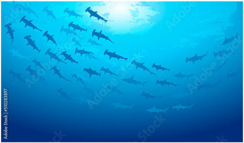 School of fish swimming under water of sea. School of hammerhead shark fish swims in underwater. Group of hammerhead shark, vector