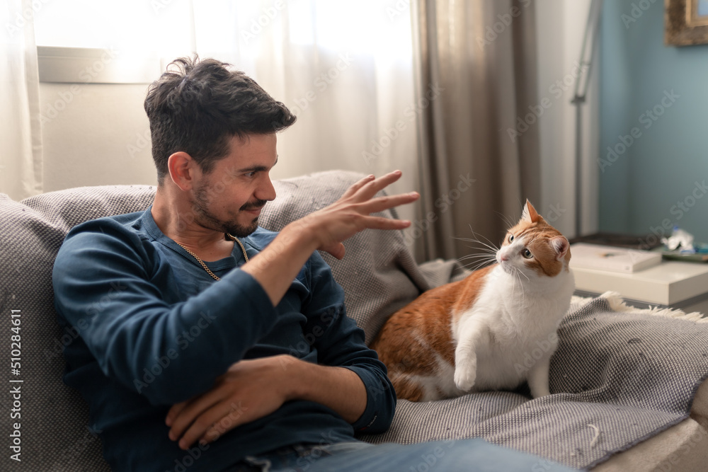 young man plays with a brown and white cat on a sofa