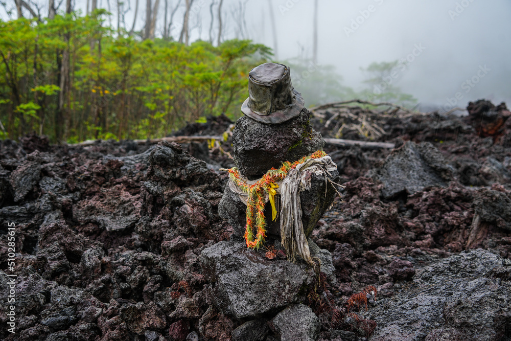Volcanic lava rock disguised as a creature wearing a necklace and a hat ...