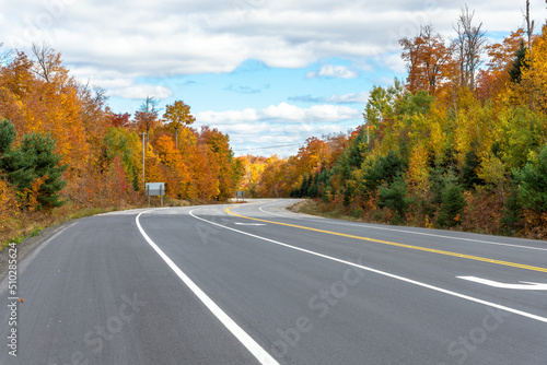 Deserted winding road with a turning line in the middle through a forest at the peak of fall foliage