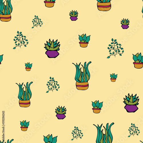 Vector white background plant in pot, succulents seamless pattern. Seamless pattern background