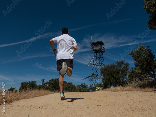 Corriendo por el bosque photo