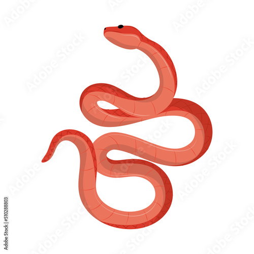 snake wildlife icon