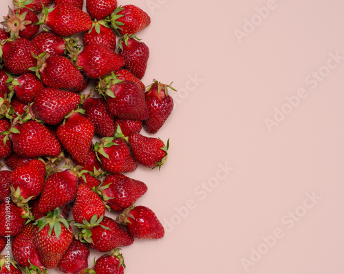 Juicy, ripe strawberries with twigs are laid out on a pink background. Copy Space.