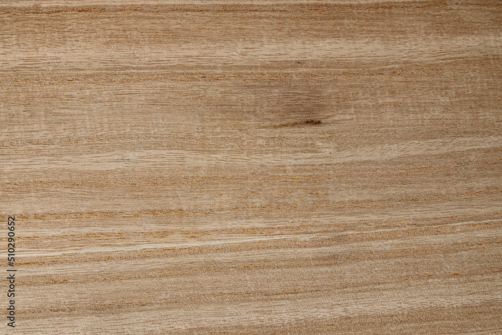 Fototapeta premium wood texture background wooden table timber 