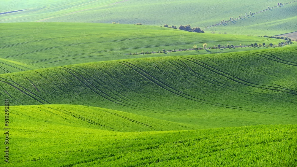 Beautiful landscape with spring nature. Waves on the field. South Moravia - Moravian Tuscany - Czech Republic Europe.. Beautiful landscape with spring nature. Waves on the field. South Moravia - Moravian Tuscany - Czech Republic Europe..