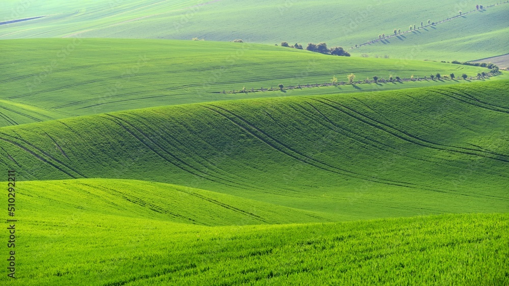 Beautiful landscape with spring nature. Waves on the field. South Moravia - Moravian Tuscany - Czech Republic Europe..