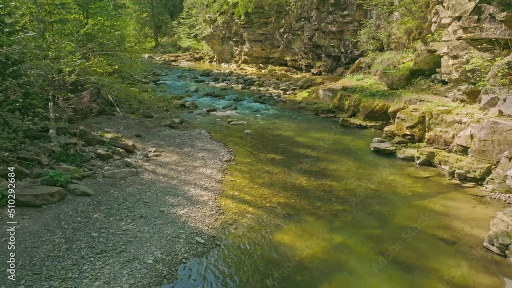 River forest mountain sunbeams morningh sunny rays water slow motion tree pine