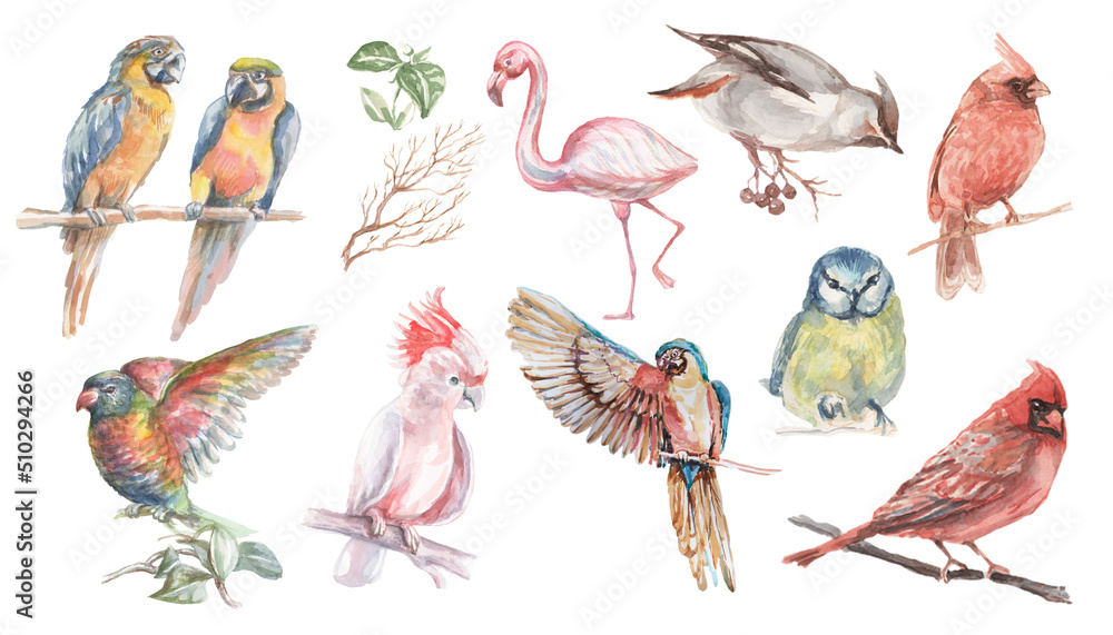 Obraz premium tropical birds watercolor illustration hand drawn jungle twigs leaves bright colorful birds macaw cockatoo nature