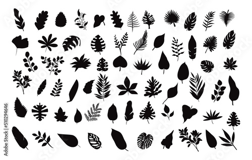 Exotic foliage Tropical Palm leaves Silhouettes premium vector templates