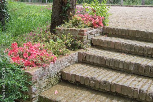 brick steps with some fuchsia flower beds on the sides