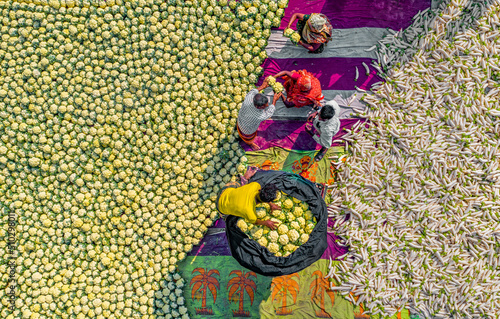 Farmers put cauliflower out to sale at a market