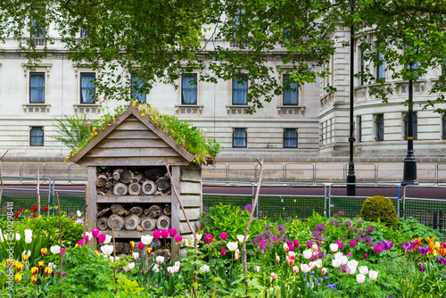 insect hotel, wooden insect shelter