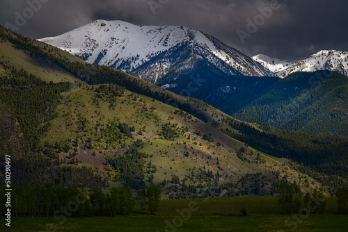2022-06-10 THE SNOW COVERED ABSAROKA MOUNTAIN RANGE WITH TREE LINED HILLS AND VALLEY NEAR PRAY MONTANA