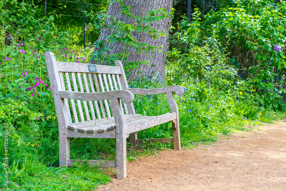 park bench surrounded by greenery park bench surrounded by greenery
