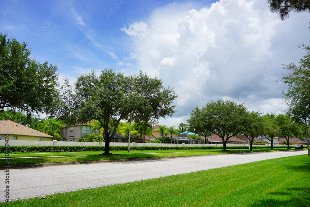 Florida thunder storm and dark cloud