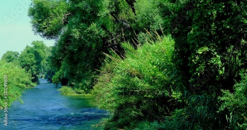 river in the nature