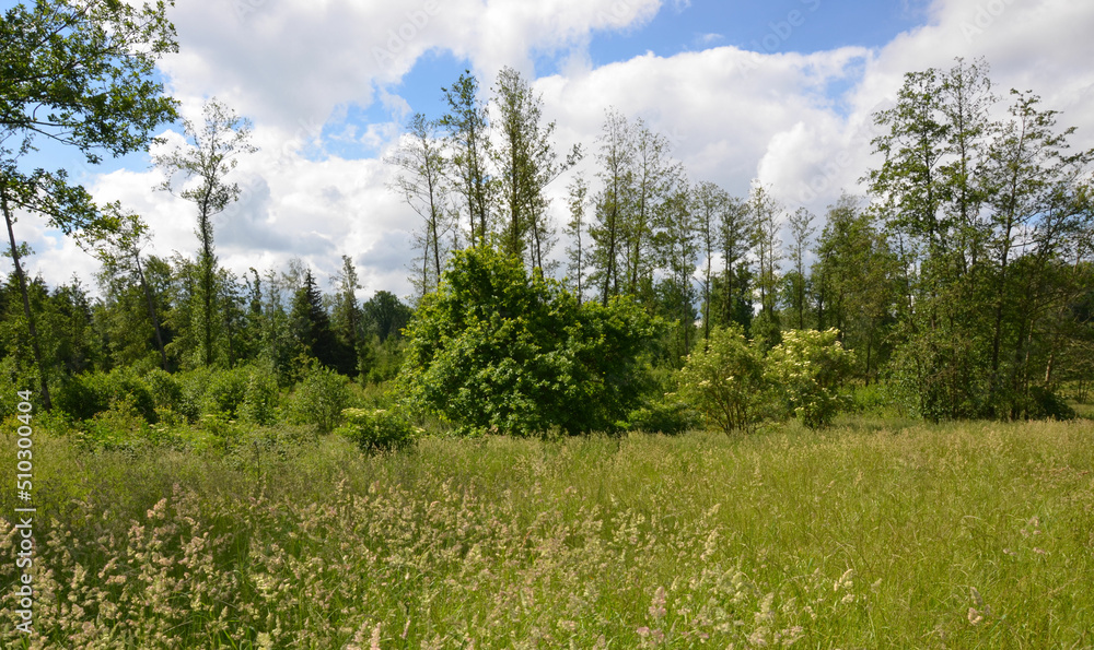 Wiesen - Felder - Wälder unter Himmelblau mit weißen Wolken im Frühling Wiesen - Felder - Wälder unter Himmelblau mit weißen Wolken im Frühling