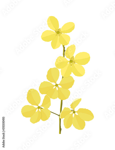 vector illustration yellow flower 