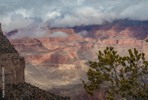 Grand Canyon Winter