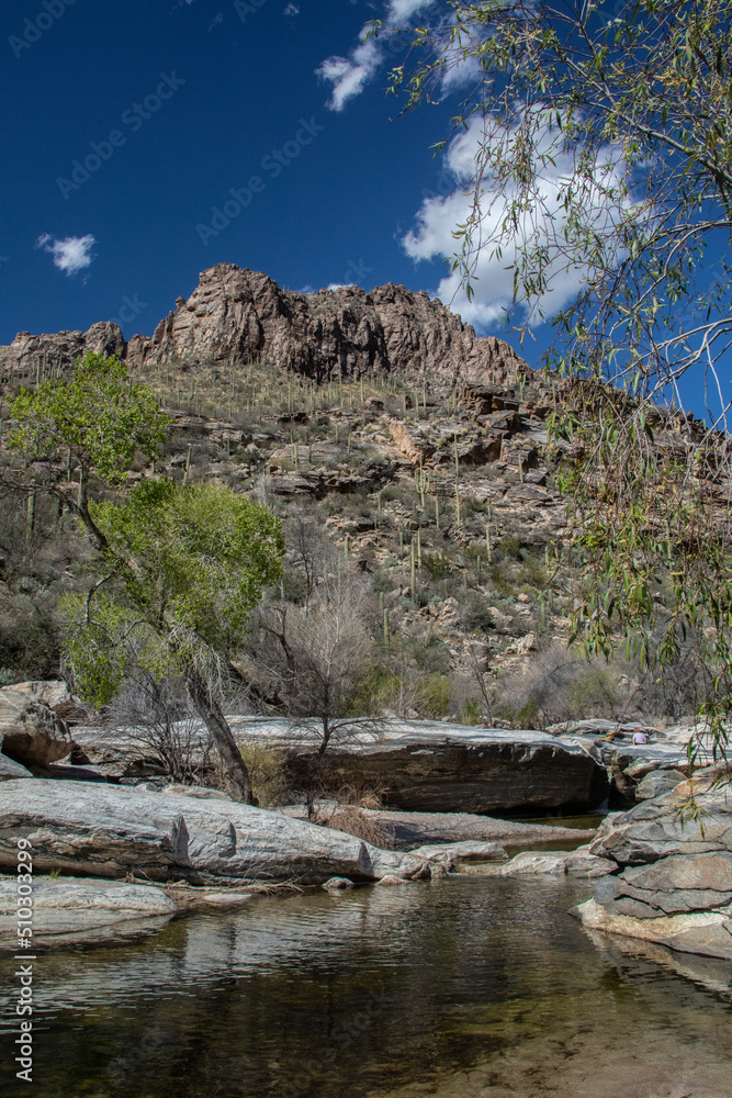Sabino Canyon, Tucson, Arizona