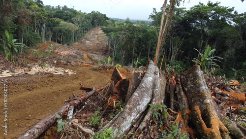 ilheus, bahia, brazil - may 23, 2022: deforestation of native Atlantic Forest trees to build a road in the city of Ilheus, in southern Bahia. photo