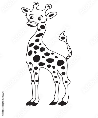Giraffe SVG, Cute baby giraffe SVG, giraffe svg bundle, baby animals svg, cute animals svg, Zoo, Shirt, Baby Shower, birthday Kid svg png
