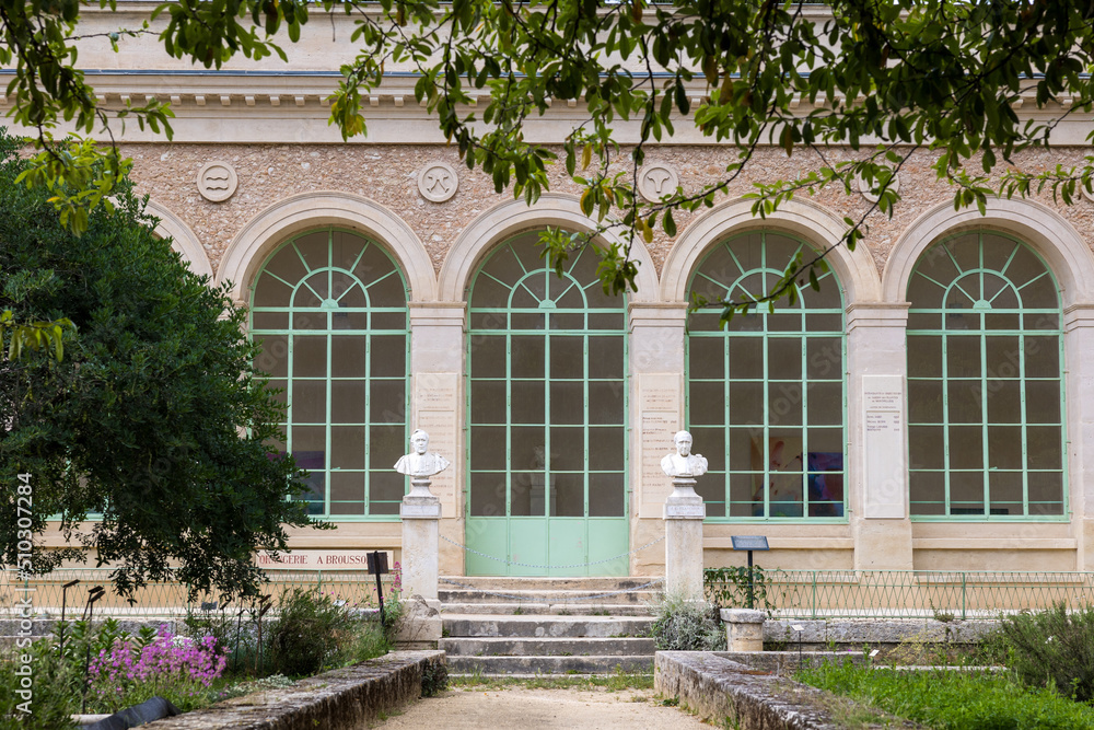 Orangerie du Jardin des Plantes de Montpellier