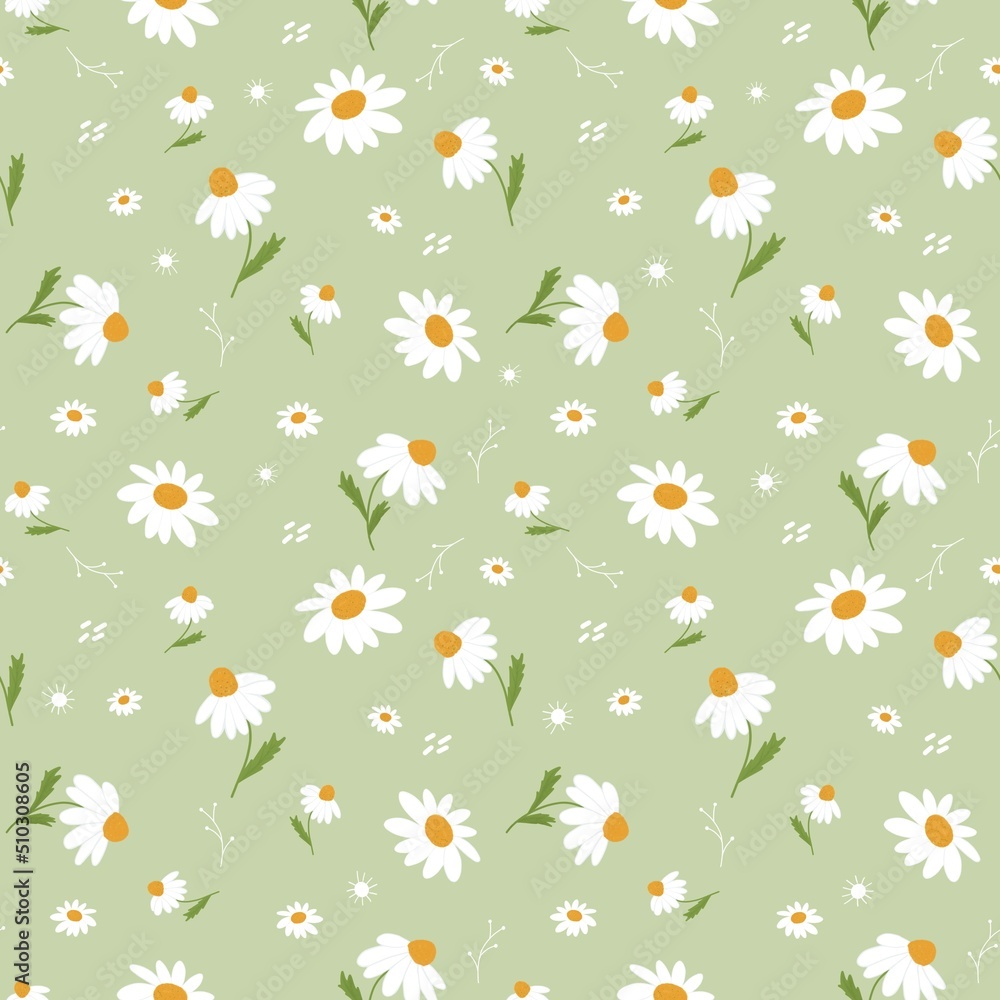 Daisy flowers summer seamless pattern on light green background