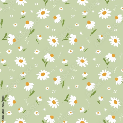 Daisy flowers summer seamless pattern on light green background