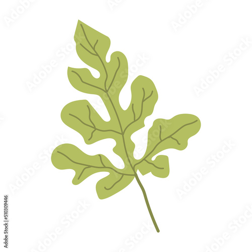 Vector illustration of a leaf of watermelon