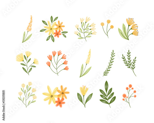 Cute Individual Yellow Watercolor Flower Vector Collection