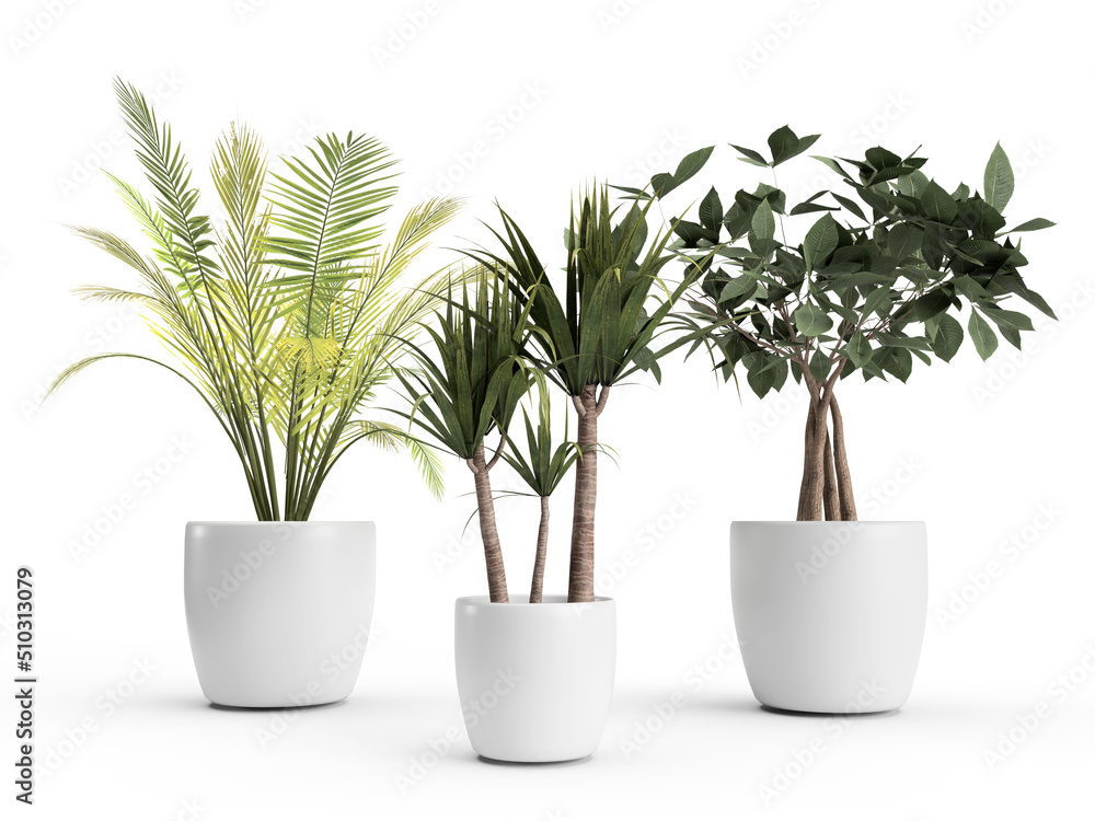 3d render three different flowerpots on a white background in white pots