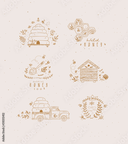 Obraz na płótnie Honey collection of labels, beehive, honeycomb, spoon with flower and branches drawing in graphic style w salonie