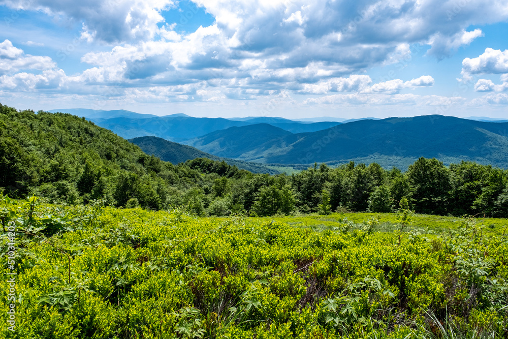 Bieszczady Mountains