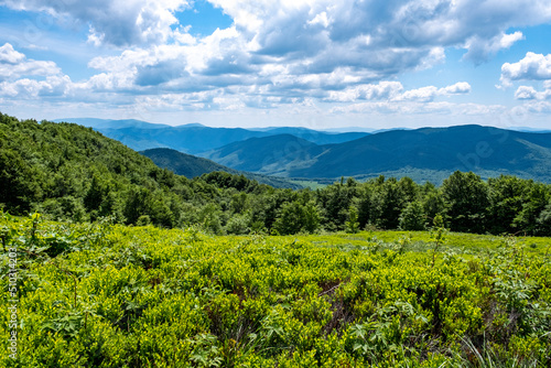 Fototapeta Naklejka Na Ścianę i Meble -  Bieszczady Mountains