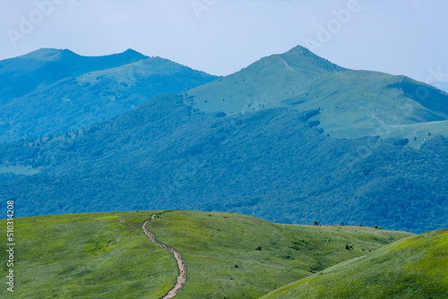 Fototapeta Naklejka Na Ścianę i Meble -  Bieszczady Mountains