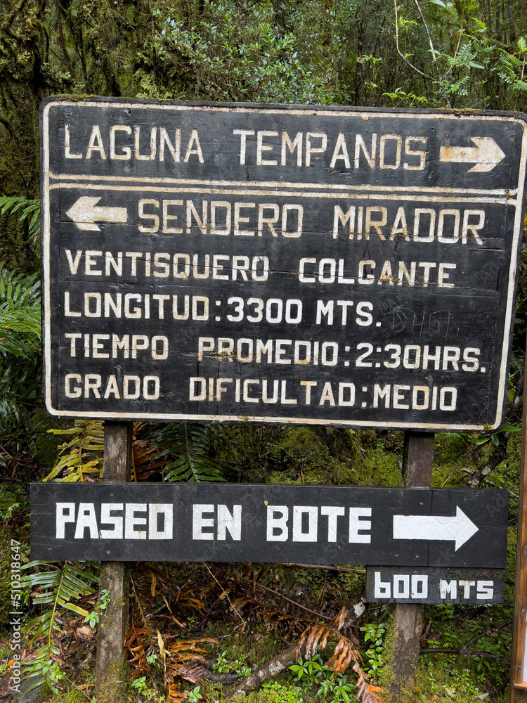 Fototapeta premium no parking sign