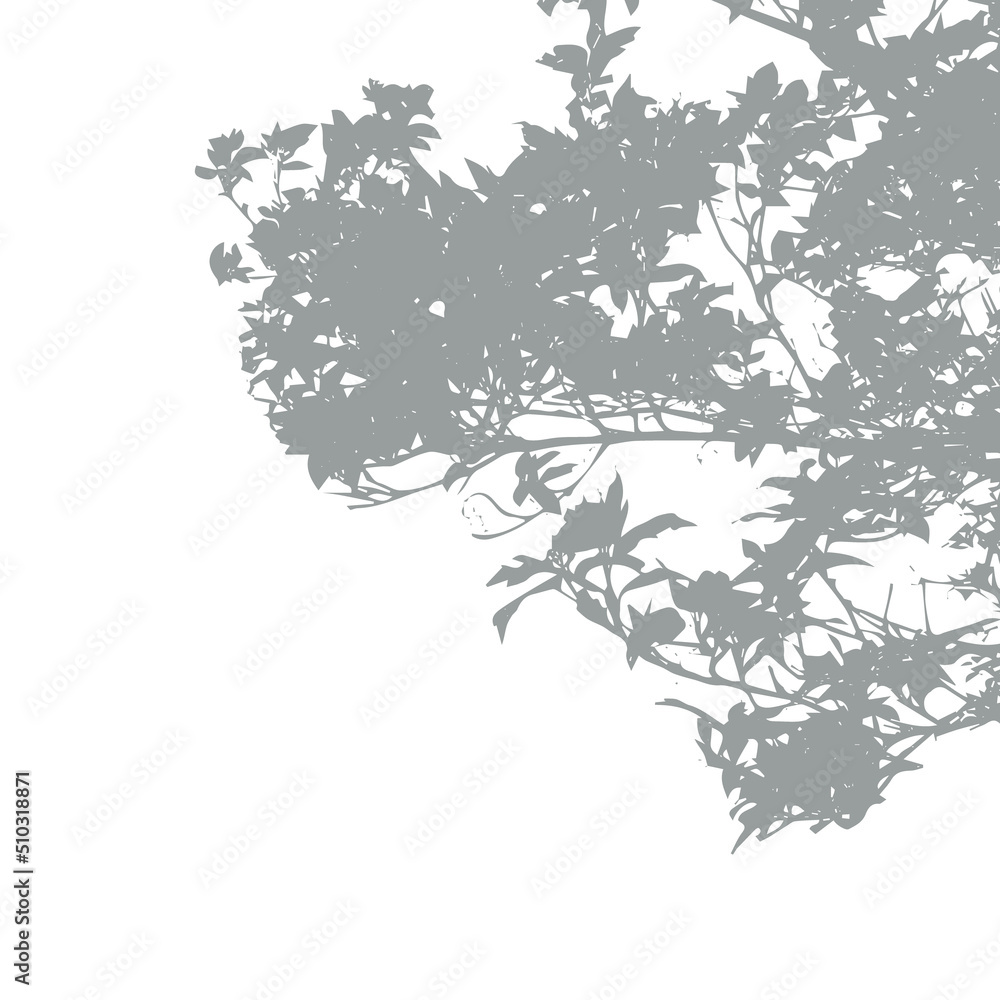 Shadow from vegetation on the wall vector silhouette. Tree branch or bush vector shape Shadow from vegetation on the wall vector silhouette. Tree branch or bush vector shape