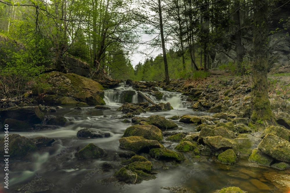 River flowing through a beautiful forest. The photos were taken with a long exposure time