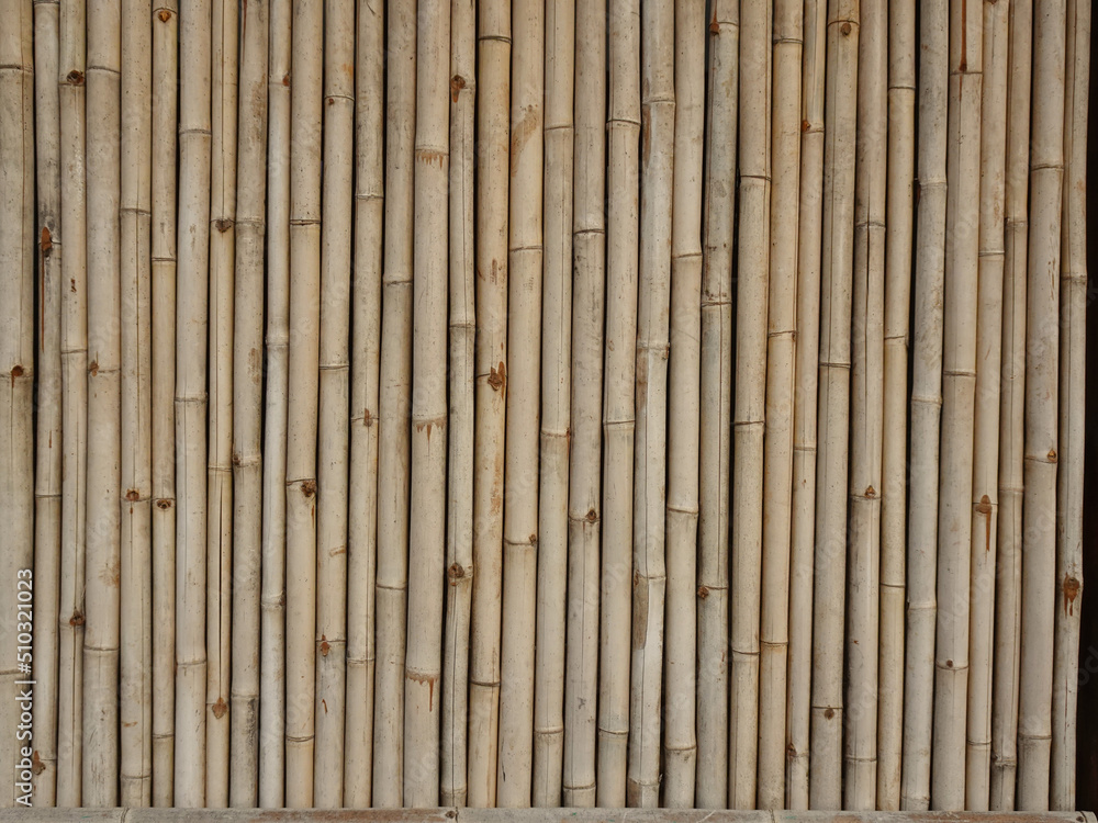 Typical for Asian countries wall made of bamboo. Typical for Asian countries wall made of bamboo.