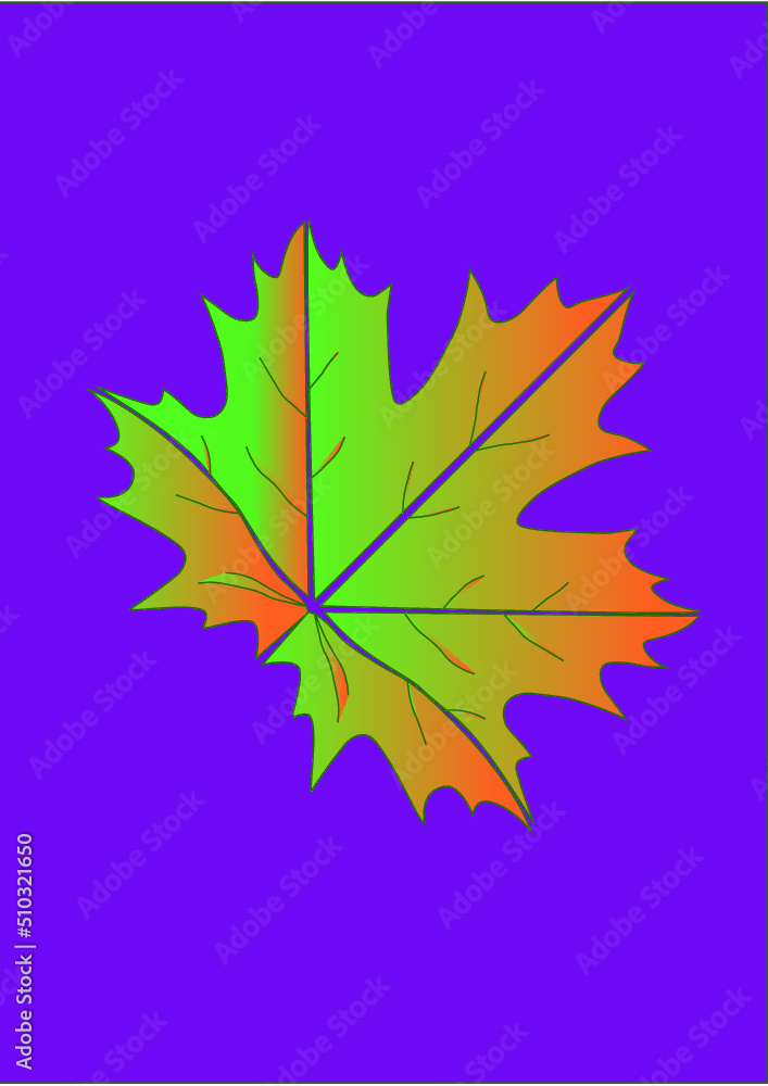 Obraz premium leaf