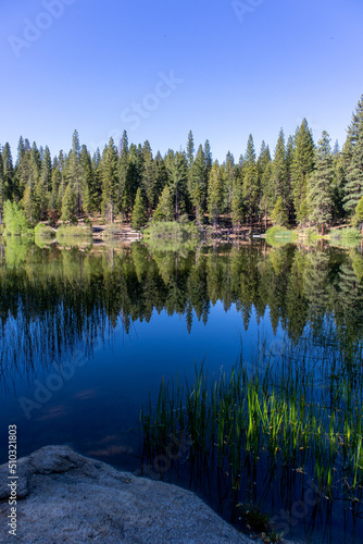 Hume Lake calm reflection California © Rebecca