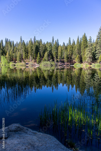 Hume Lake calm reflection California