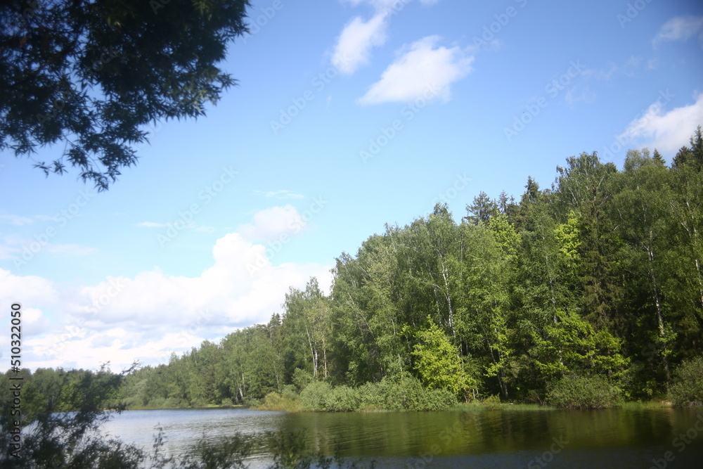 lake in the forest nature summer nobody lake in the forest nature summer nobody
