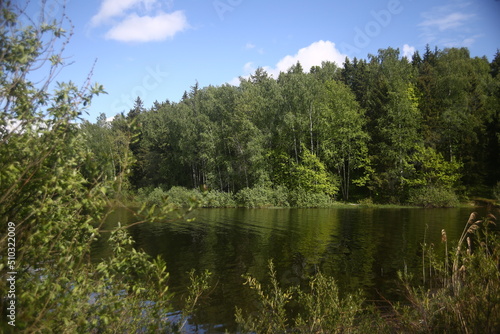 lake and forest trees nature blue sky landscape