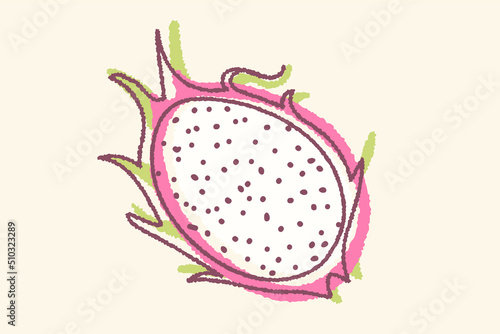 Vector vintage illustration of pitaya in hand drawing style. Vector poster of pitaya in retro style. Tropical fruit.