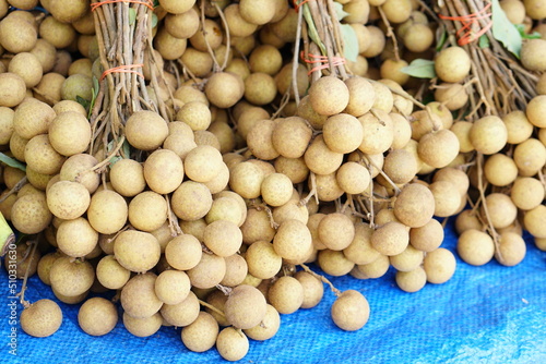 longan background in the market