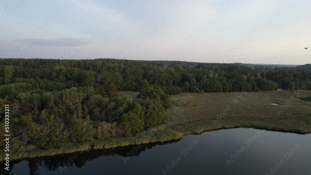 Rotating drone reveals a flock of birds flying along the forest shoreline Rotating drone reveals a flock of birds flying along the forest shoreline